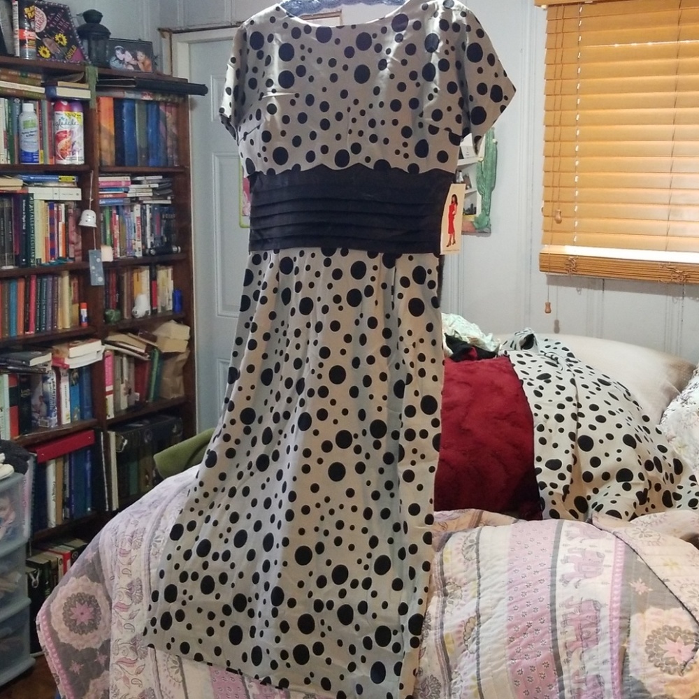 Bettie Page Polka Dot Vintage Dress